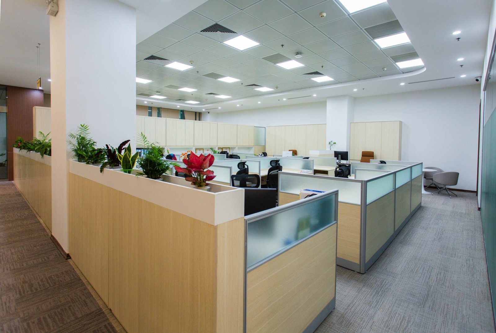 Clean spacious and bright open office area with cubicles and plants.